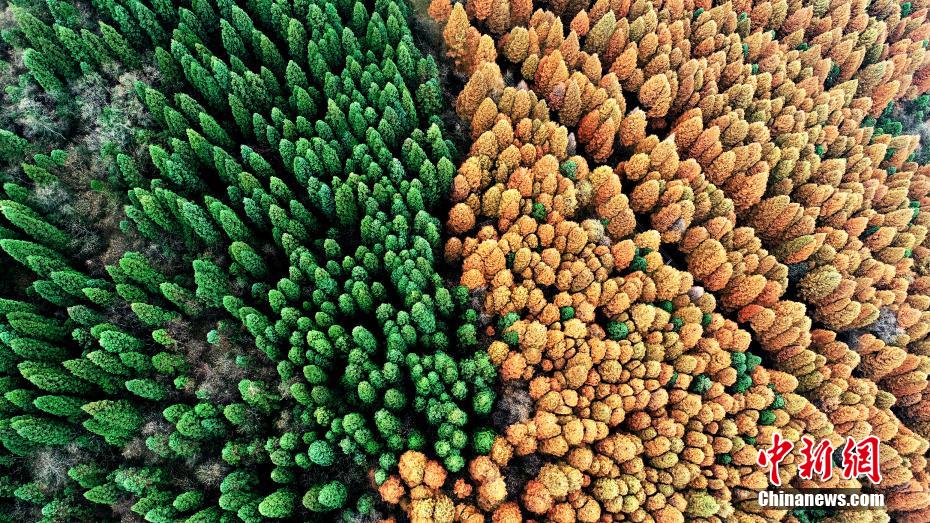 Half of spring and half of autumn are seen in Wuling Mountain National Forest Park