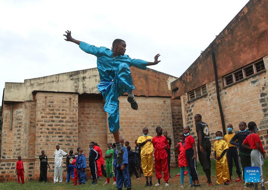 Feature: Chinese Kung Fu gains popularity in Africa