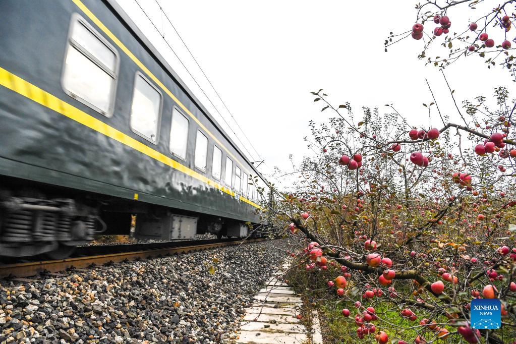 Slow train provides convenience for local villagers in SW China