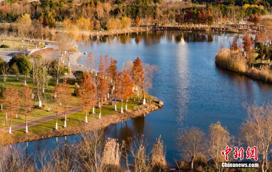 Aerial shot of winter scenery of Nanjing Jiangxinzhou, an island in the Yangtze River