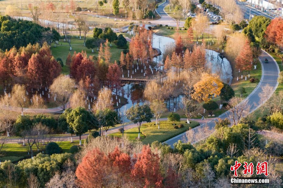 Aerial shot of winter scenery of Nanjing Jiangxinzhou, an island in the Yangtze River