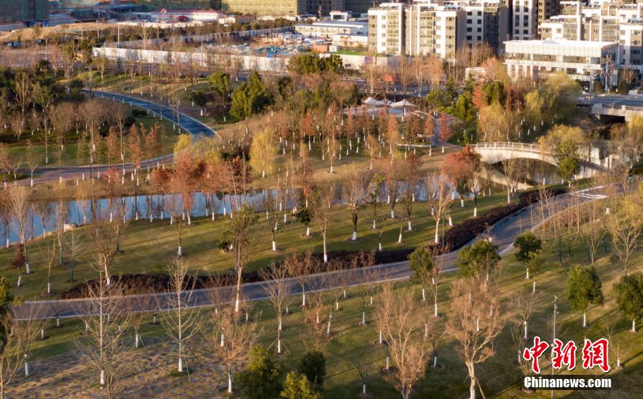 Aerial shot of winter scenery of Nanjing Jiangxinzhou, an island in the Yangtze River