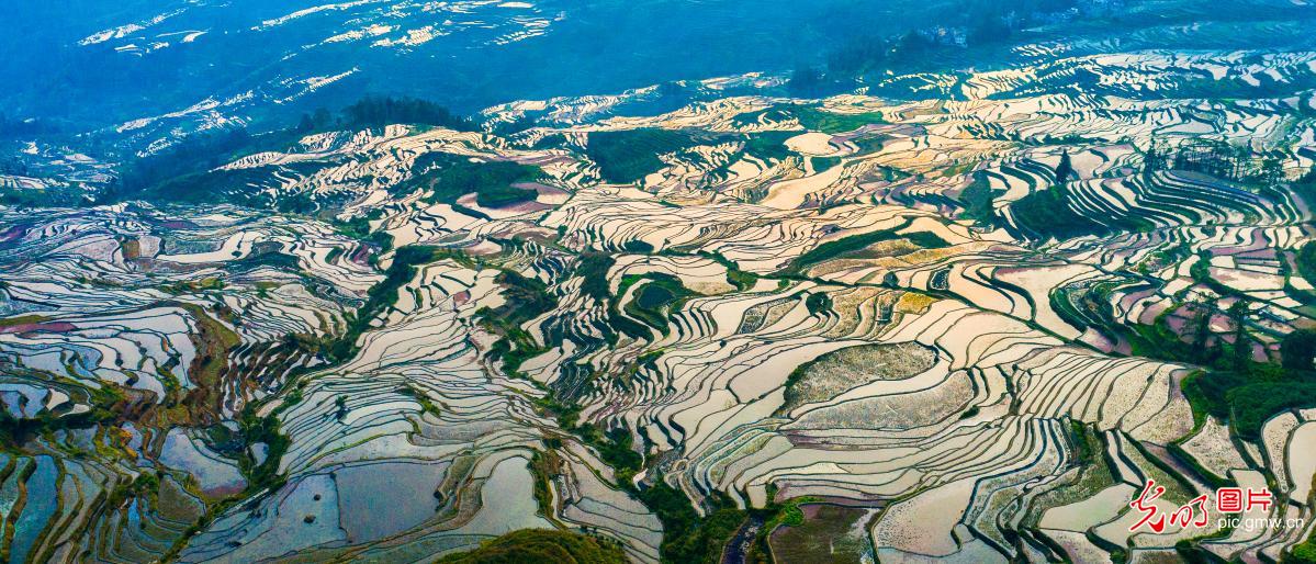 Honghe Hani rice terraces: appearing as texture of the earth