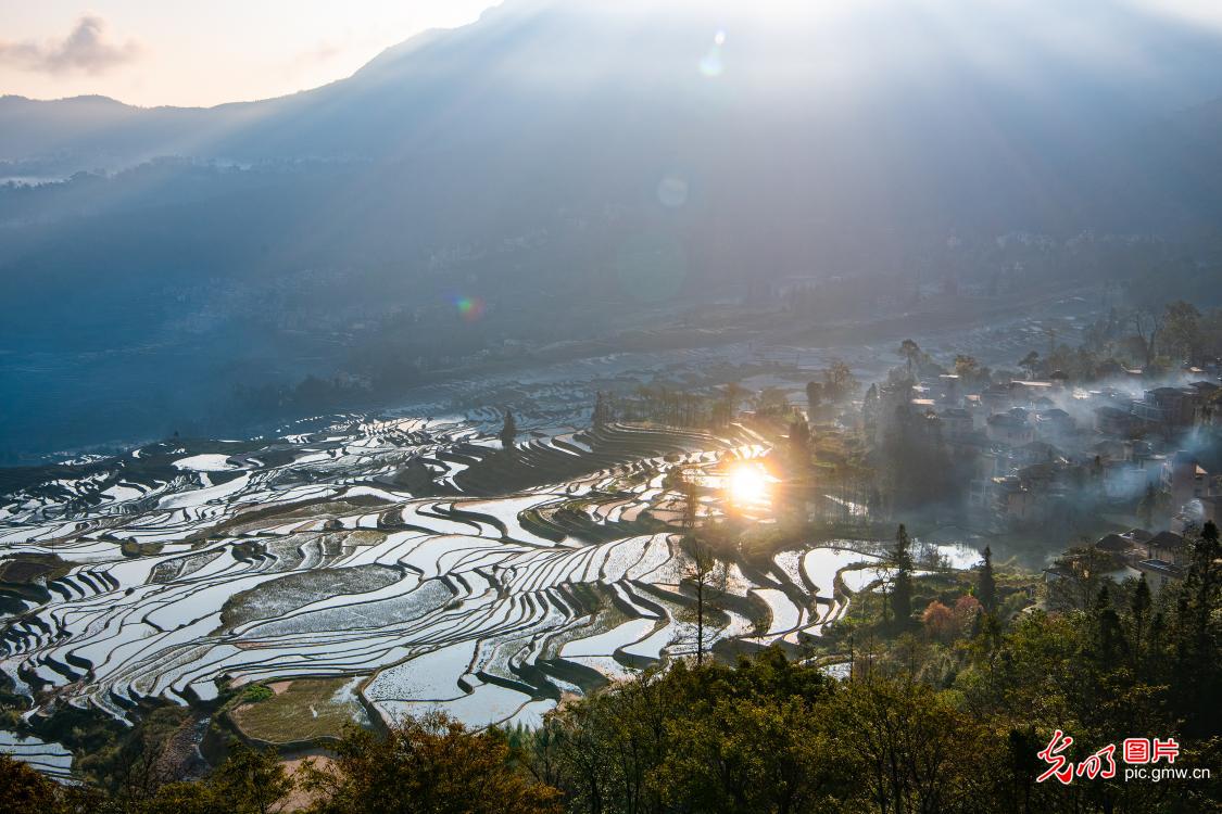 Honghe Hani rice terraces: appearing as texture of the earth
