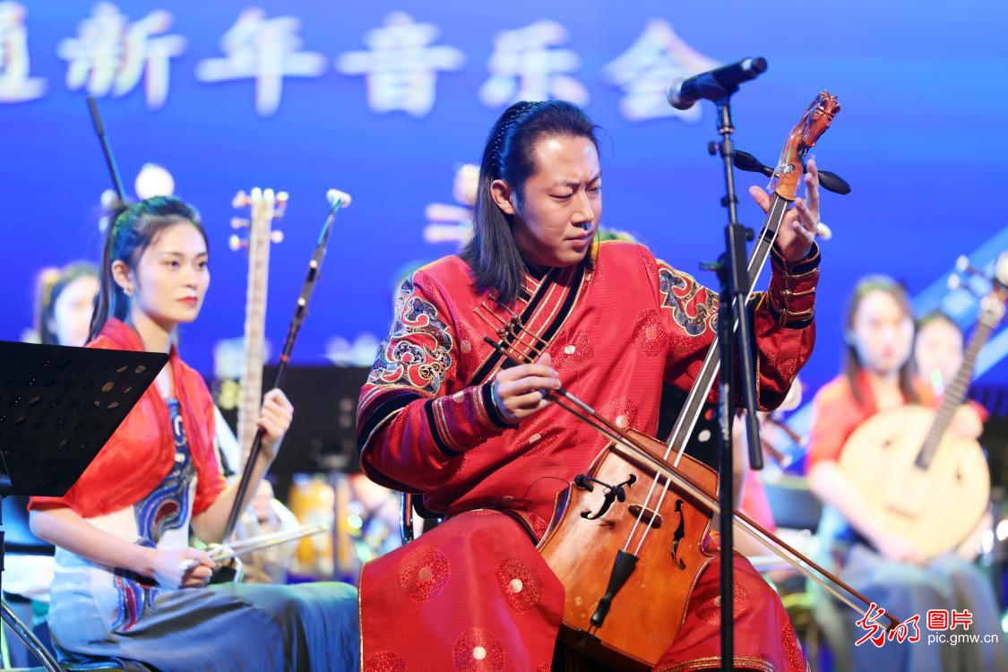 Central Ethnic Song and Dance Ensemble performed in Nantong to welcome the New Year