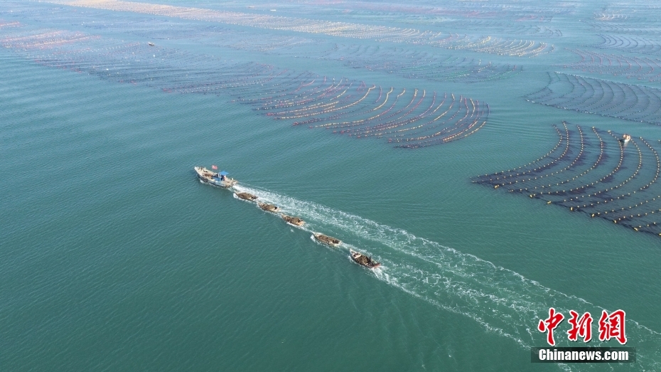 The sea pasture is busy with spring ploughing The sea pasture is busy with spring ploughing