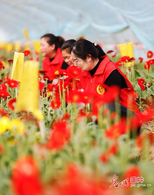 Women in Jiangsu pick flowers to celebrate International Women's Day