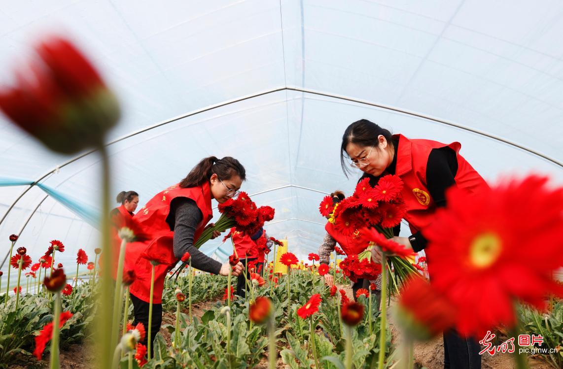 Women in Jiangsu pick flowers to celebrate International Women's Day