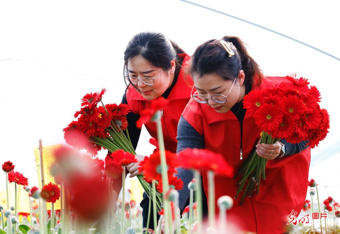 Women in Jiangsu pick flowers to celebrate International Women's Day