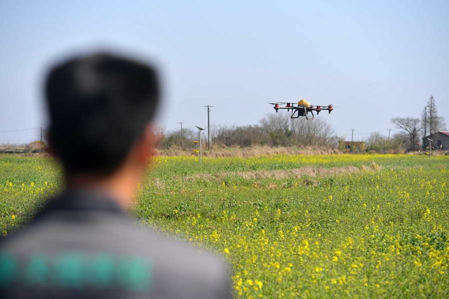 Xi's insights decode China's success, steer development in new era, experts say