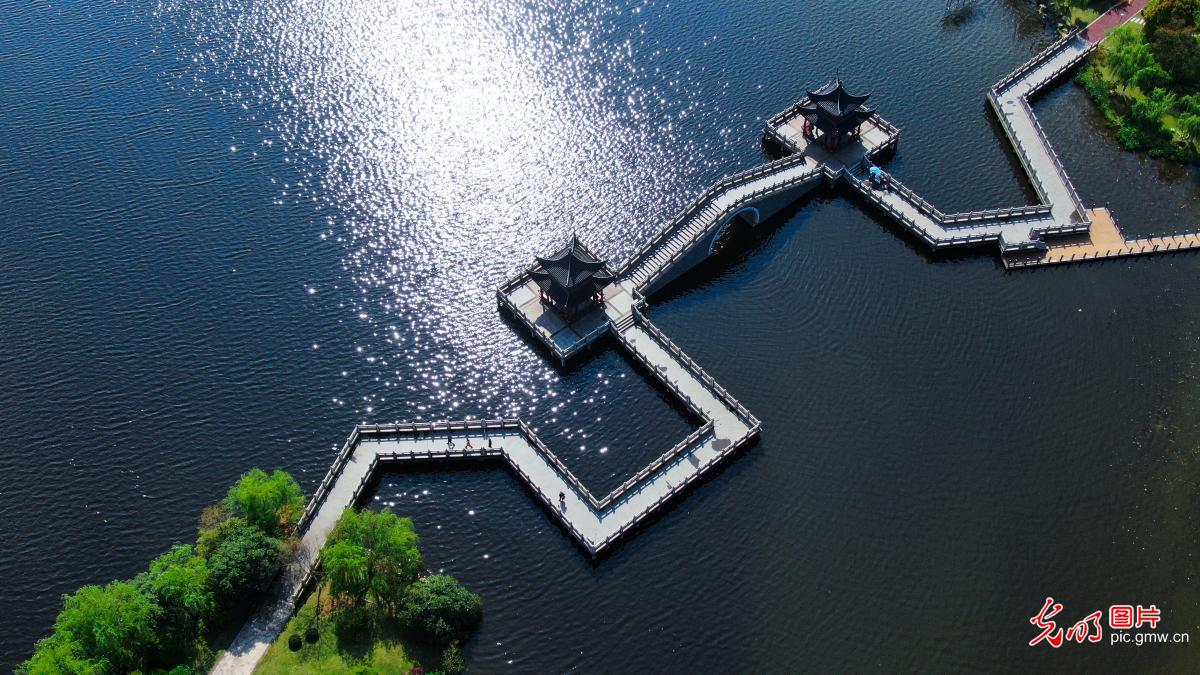 Ecological environment well constructed through urban development in E China's Jiangxi