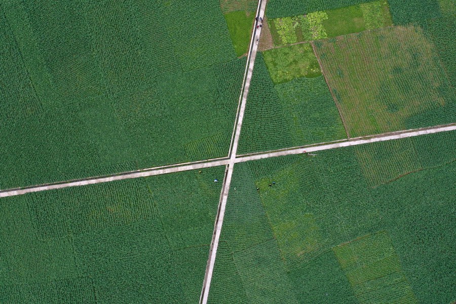 China balancing COVID-19 control, economic growth