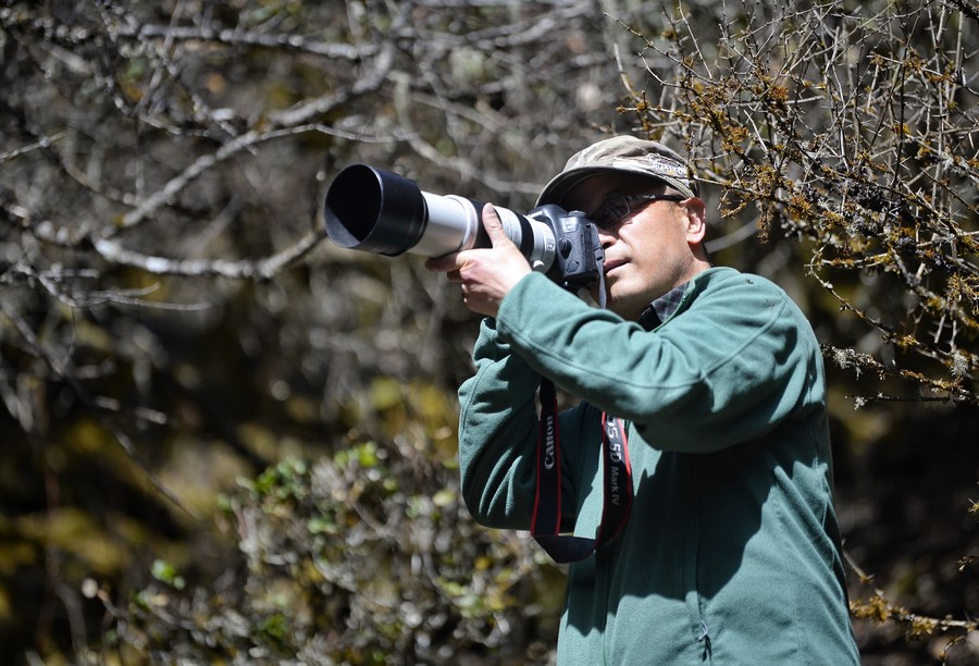 InPics: Guardian of wild birds in China's Wolong National Nature Reserve