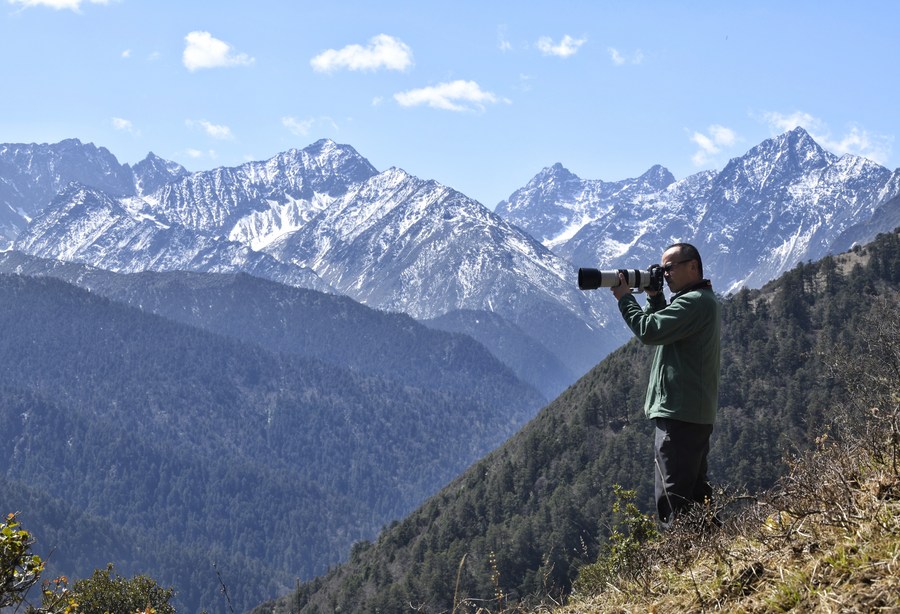 InPics: Guardian of wild birds in China's Wolong National Nature Reserve