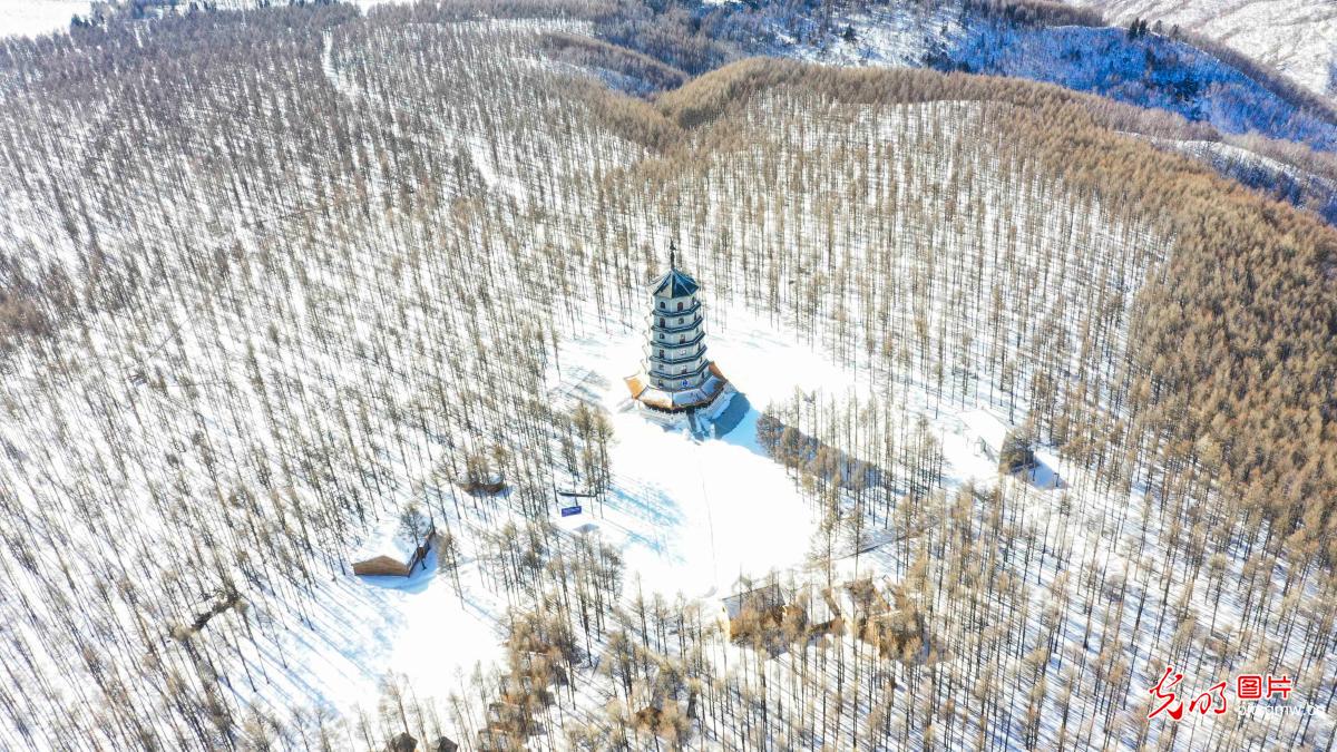 Beatiful snow scenery at Saihanba National Forest Park 赛罕坝春雪美