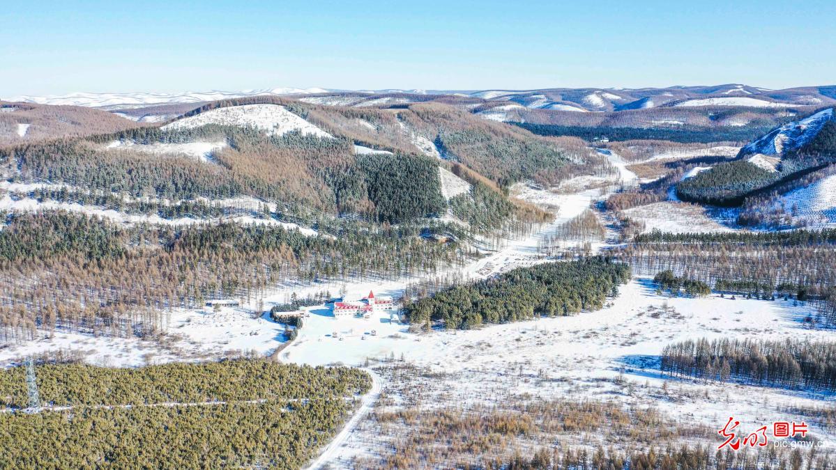 Beatiful snow scenery at Saihanba National Forest Park 赛罕坝春雪美