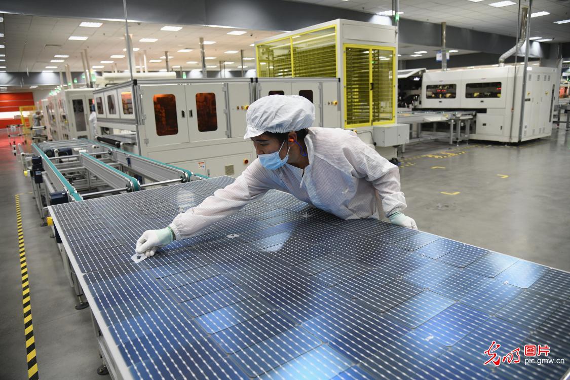 Photovoltaic industry contributes to high-quality economic development 新能源助力高质量发展