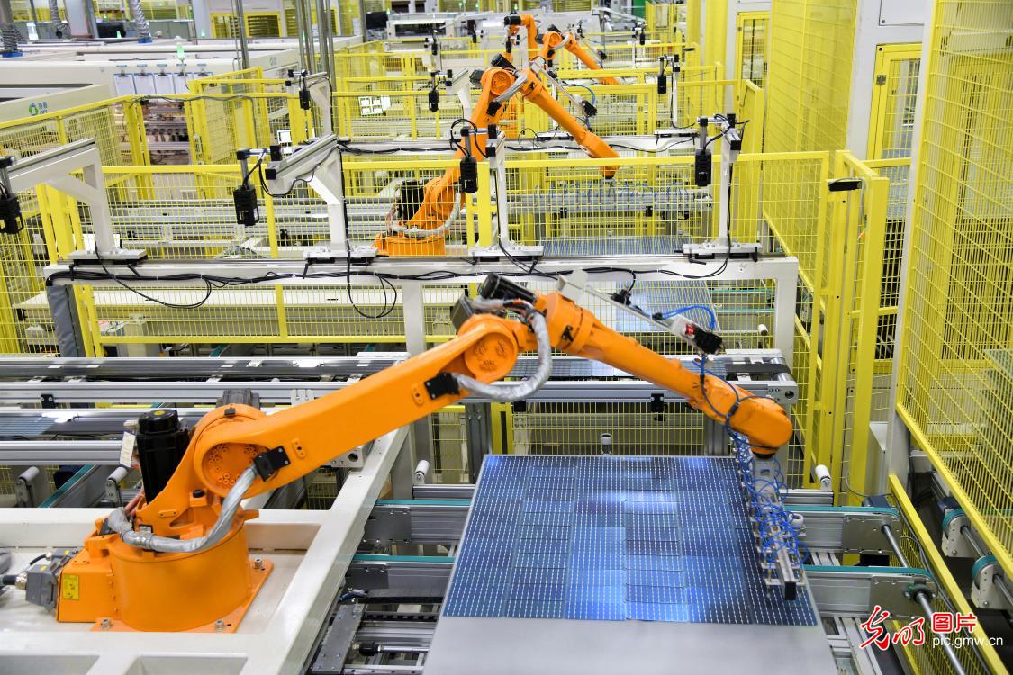 Photovoltaic industry contributes to high-quality economic development 新能源助力高质量发展