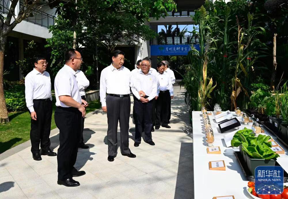 Emancipate mind, strive for innovation, work hard together to accelerate the construction of Hainan Free Trade Port