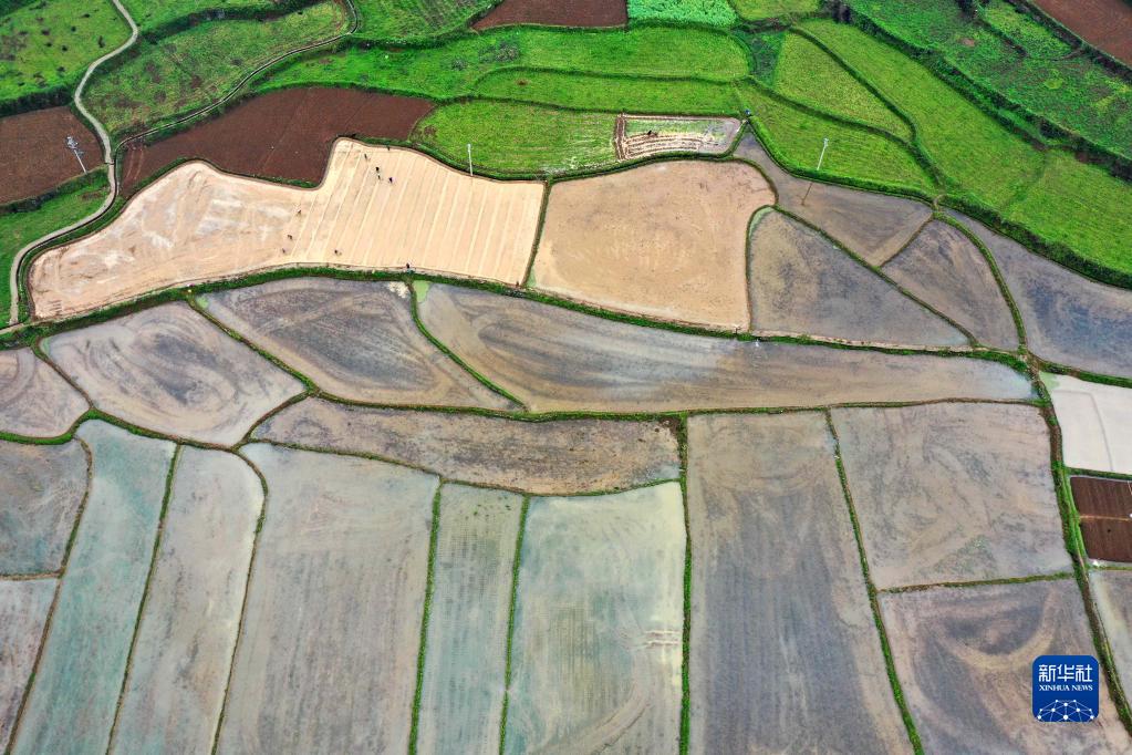 Farmers busy with spring farming as Grain Rain nears