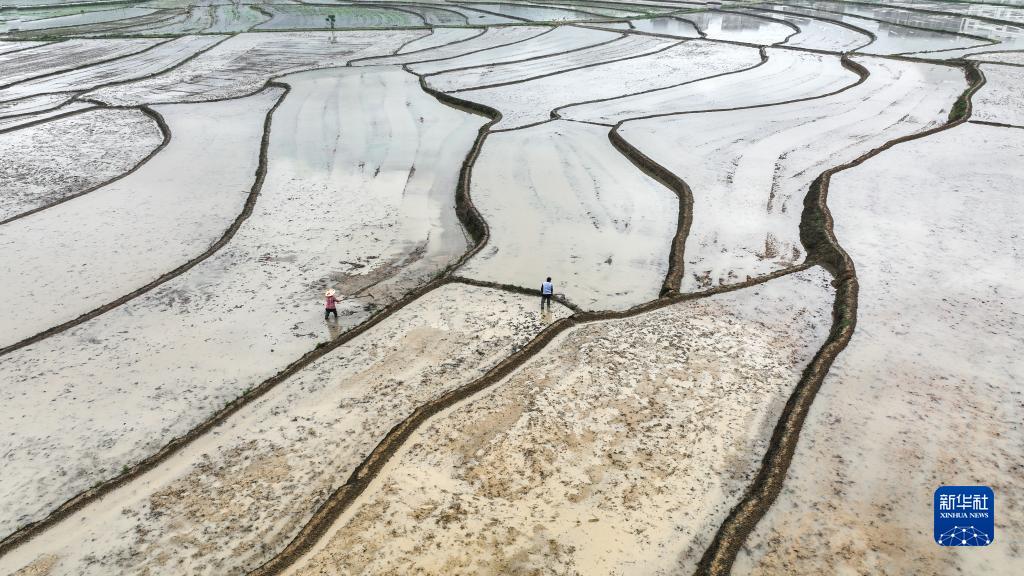 Farmers busy with spring farming as Grain Rain nears