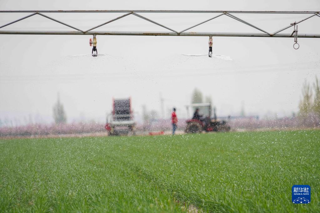 Farmers busy with spring farming as Grain Rain nears