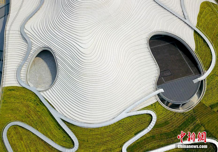 Aerial shot of Qintai Art Museum in Wuhan
