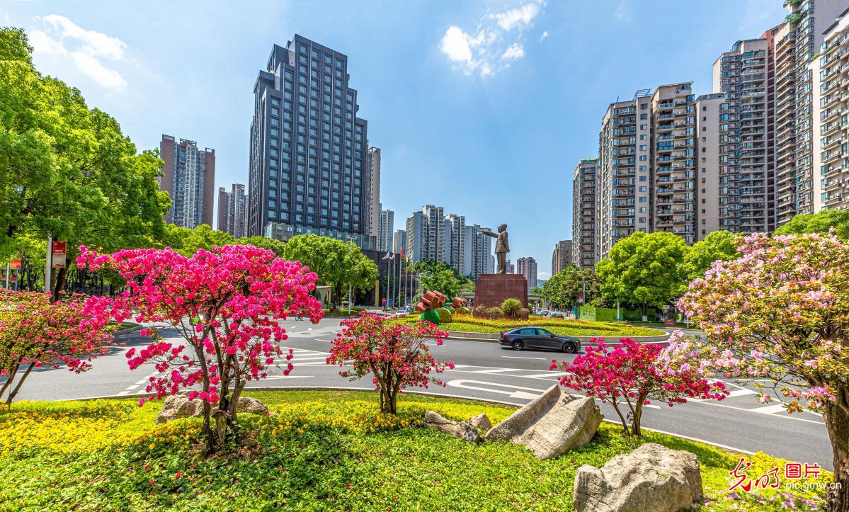 Blooming flowers decorate urban environment in Chongqing