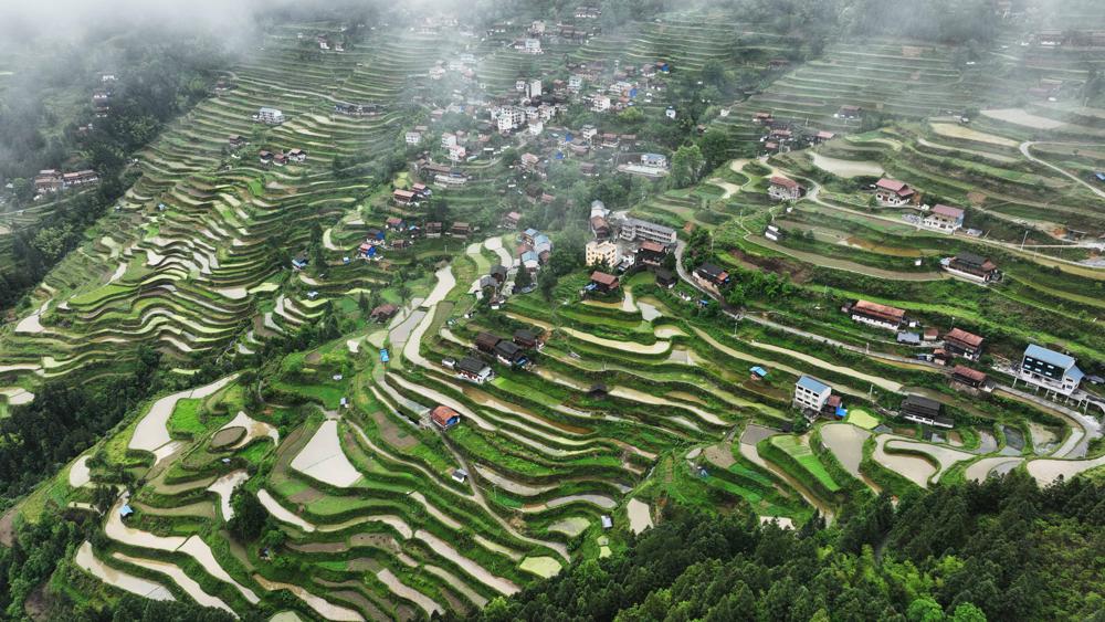 Miao villages clothed in vibrant green