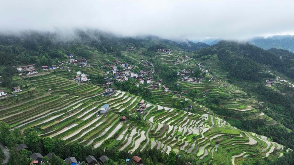 Miao villages clothed in vibrant green