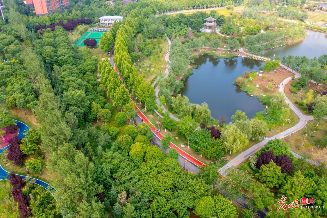 Yuncheng, Shanxi: ecological restoration build habitable city