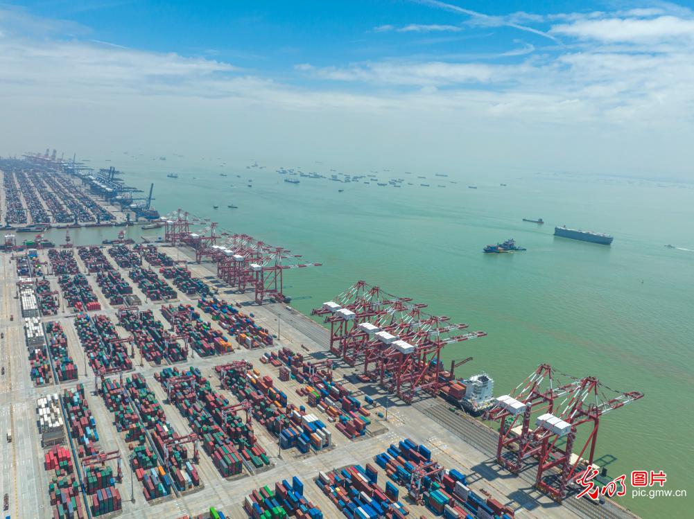 Container throughput of Nansha Terminal of Guangzhou Port reaches record high