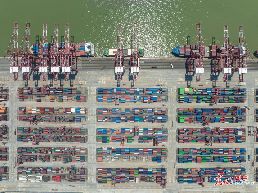 Container throughput of Nansha Terminal of Guangzhou Port reaches record high