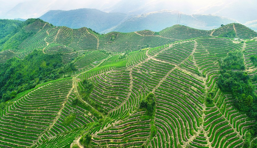 China tops the world in globally important agricultural heritage systems