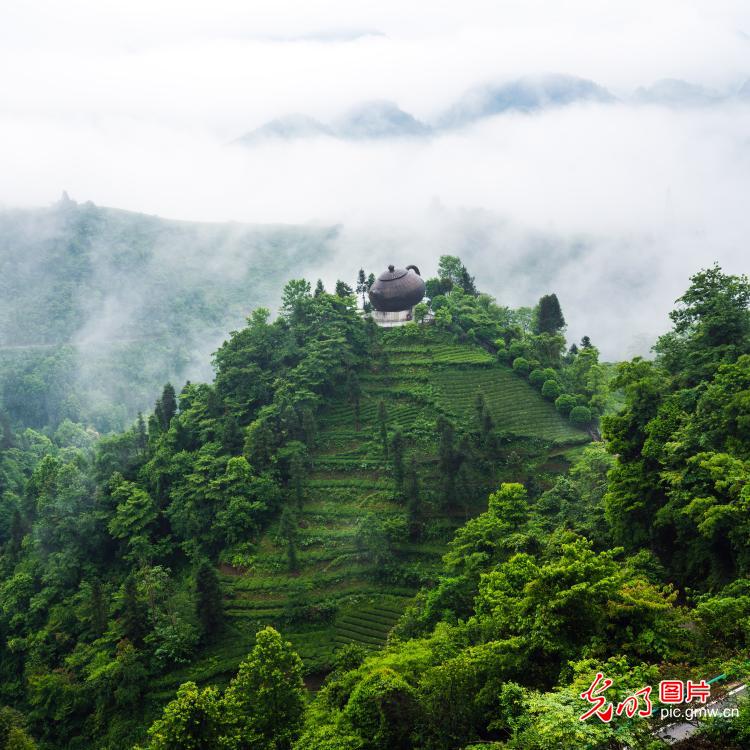Home of Wujiatai Tribute Tea presents a beatify scenery after the rain