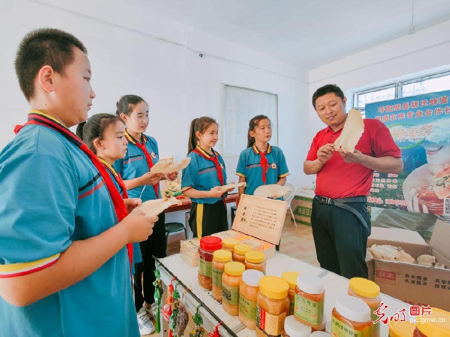 Pic story: living a honey life in NW China's Xinjiang