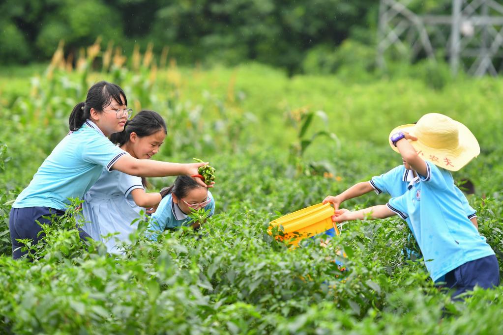 Children experience agrarian culture in central China's Hunan