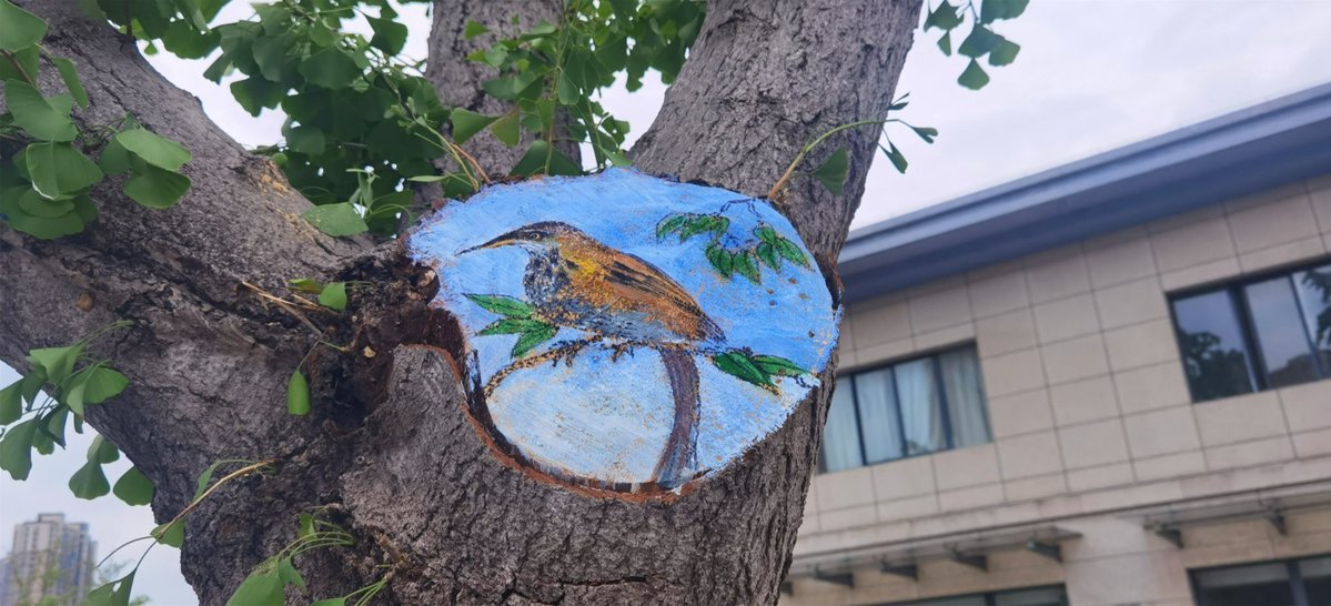 Creative paintings breathe new life into nature in Zhenjiang