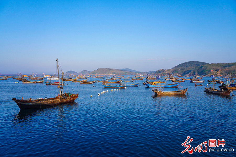 Changhai, NE China's Liaoning: Modern marine ranch becomes 
