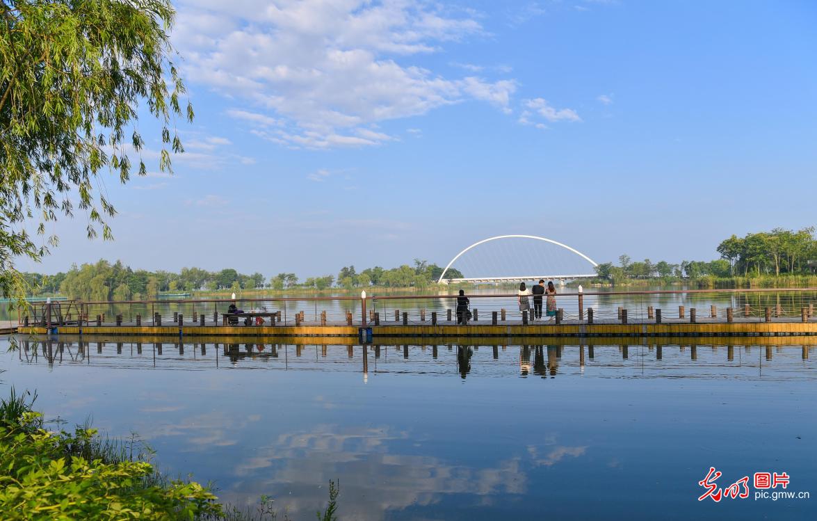Ecological environment improved over recent years in E China's Jiangsu