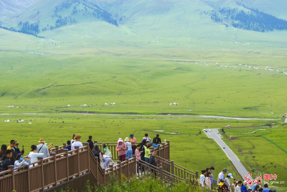 Summer scenery of grassland in NW China's Xinjiang