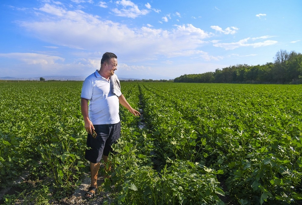 Modern agricultural technology, machinery applied in Urumqi to help farmers increase yield