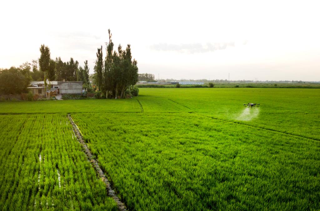 Modern agricultural technology, machinery applied in Urumqi to help farmers increase yield