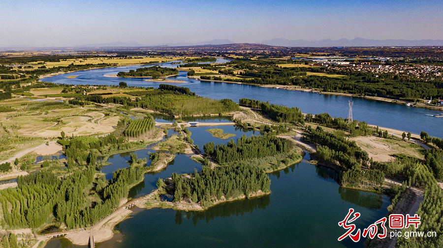 Ecosystem well restored at the Yellow River Wetland in Mengjin, C China's Henan