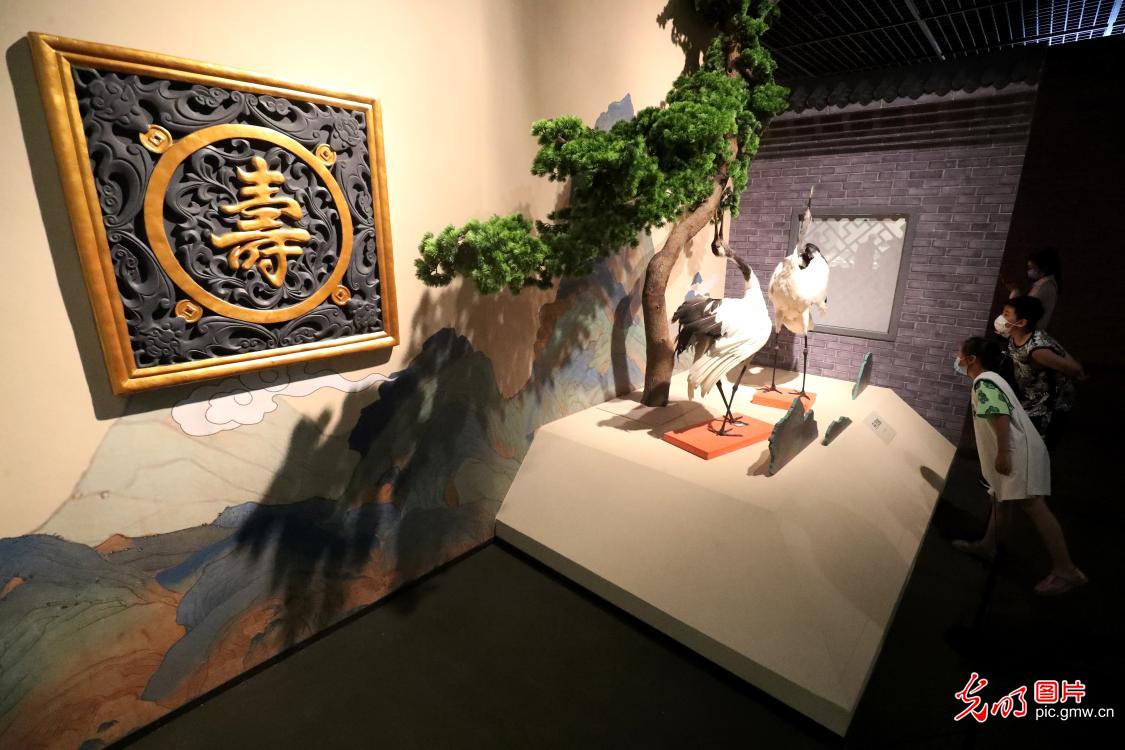 Chinese auspicious culture exhibit at Hebei Museum