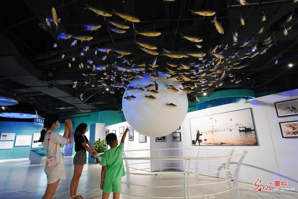 Children visit museum of natural history in SW China’s Chongqing