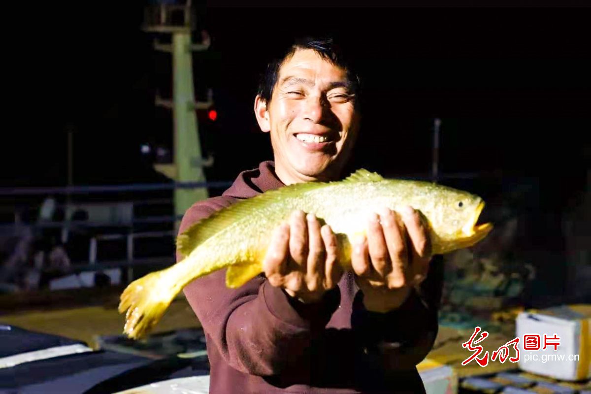 Yellow croaker industry helps to improve economic, ecological effects in E China's Zhejiang
