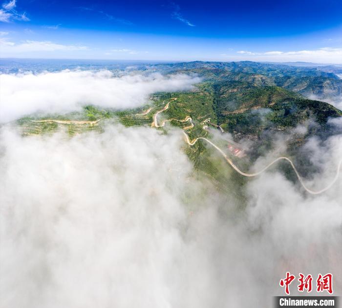 Aerial view of picturesque scenery of forest park in mist in N China’s Shanxi Province