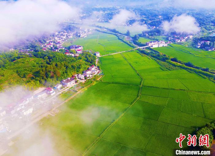 Aerial view of countryside in E China’s Anhui Province