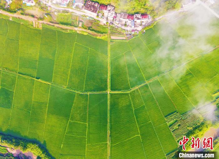 Aerial view of countryside in E China’s Anhui Province
